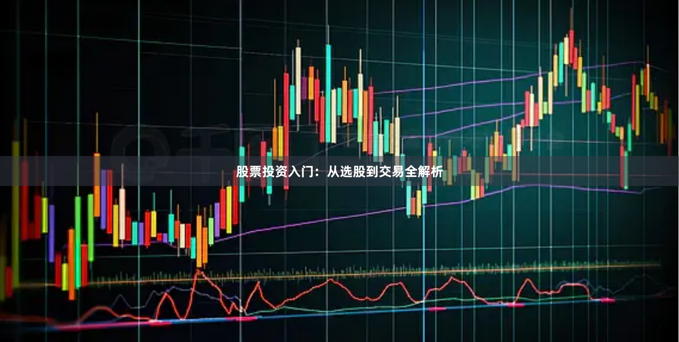 股票投资入门：从选股到交易全解析